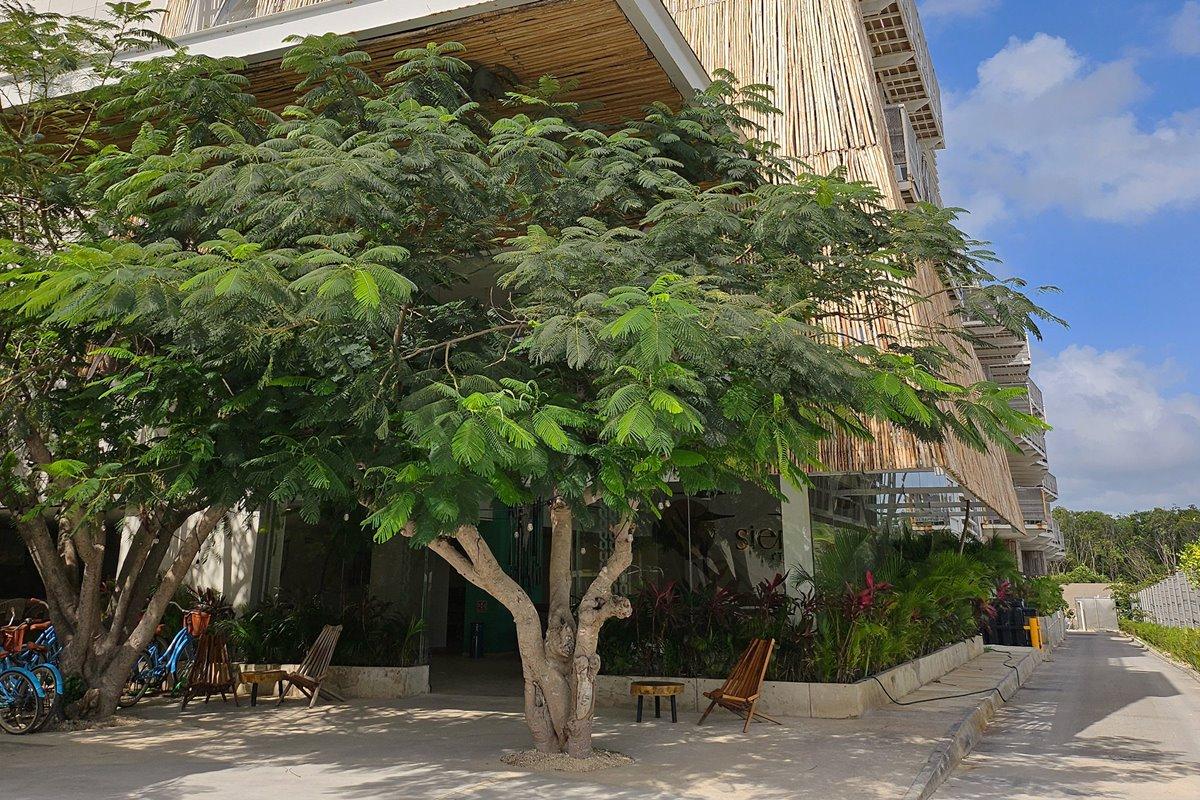 Siente Tulum Hotell Eksteriør bilde
