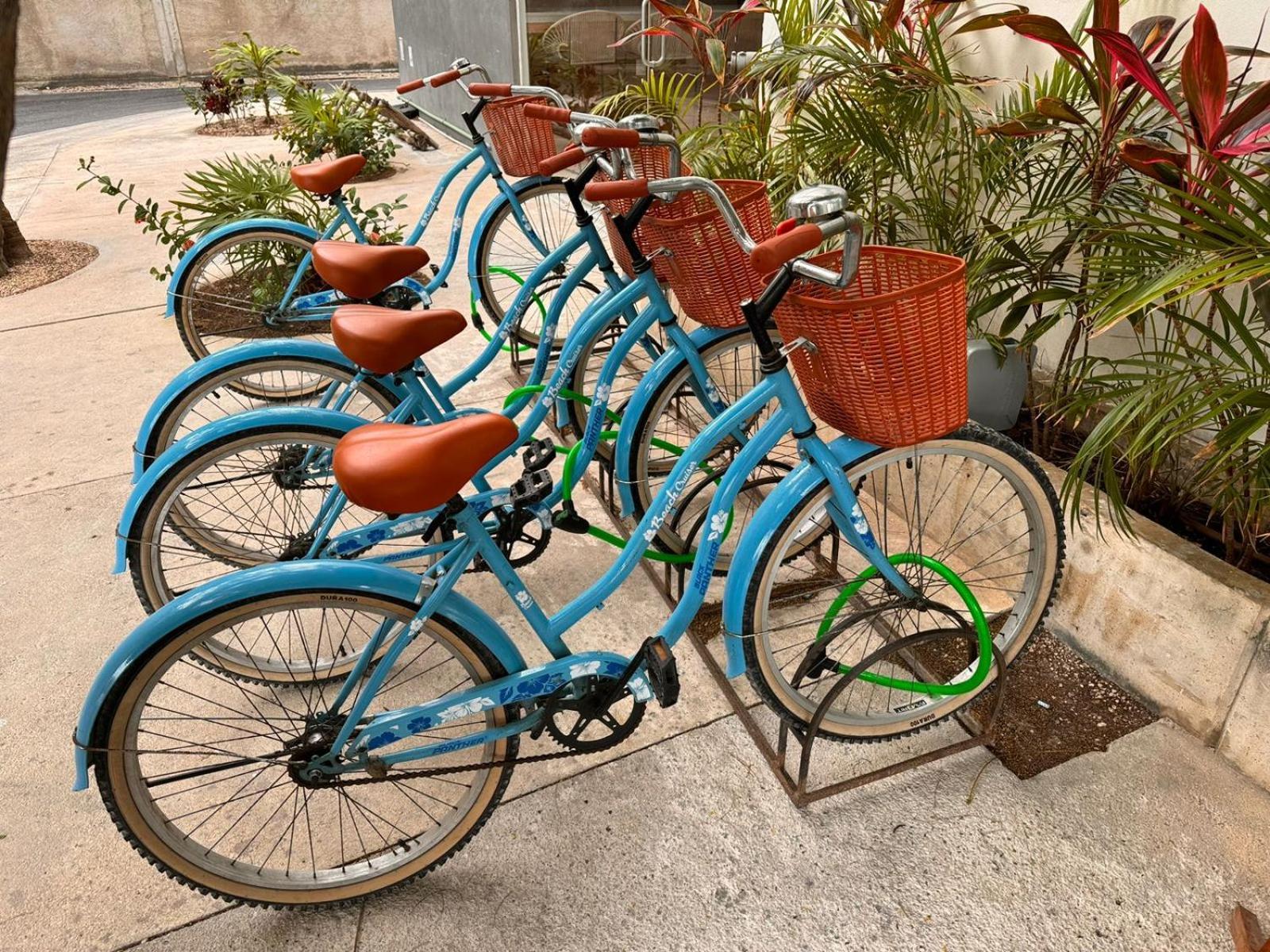 Siente Tulum Hotell Eksteriør bilde